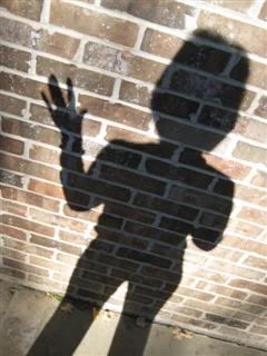 Name:  randompic001WinCE.jpg
Views: 29
Size:  17.0 KB