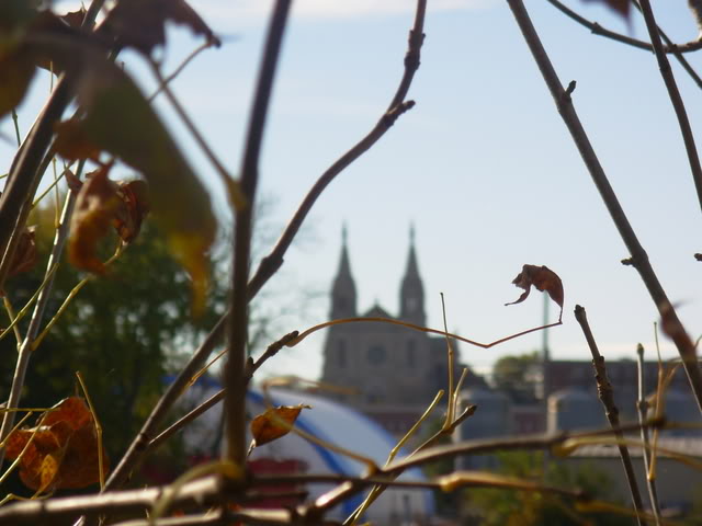 Name:  DSCN1601.jpg
Views: 28
Size:  46.4 KB