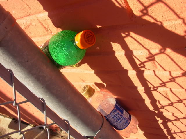 Name:  DSCN1589.jpg
Views: 29
Size:  61.1 KB