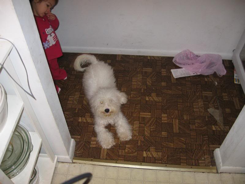 Name:  IMG_0675.jpg
Views: 16
Size:  50.6 KB