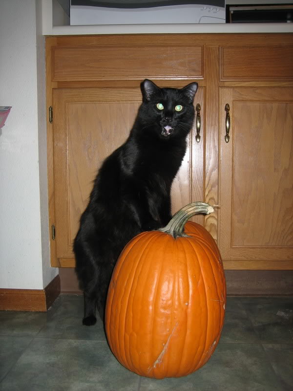 Name:  IMG_2824.jpg
Views: 81
Size:  66.6 KB