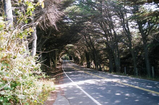 Name:  88.jpg
Views: 26
Size:  75.5 KB