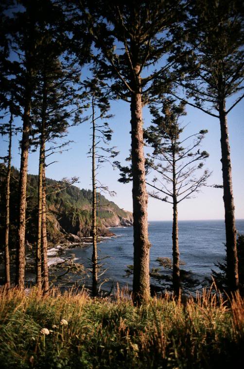 Name:  60.jpg
Views: 24
Size:  94.9 KB