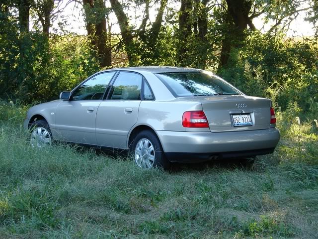 Name:  DSC00833.jpg
Views: 18
Size:  119.5 KB