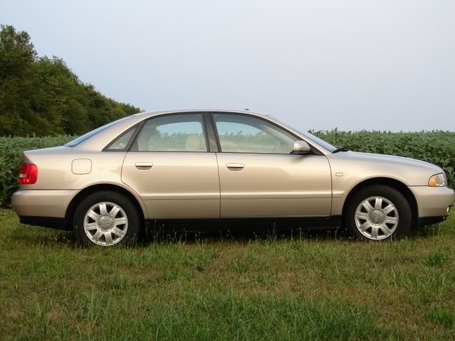 Name:  DSC00775.jpg
Views: 20
Size:  67.8 KB