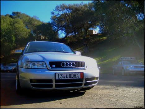 Name:  IMG_0070-2.jpg
Views: 344
Size:  40.6 KB