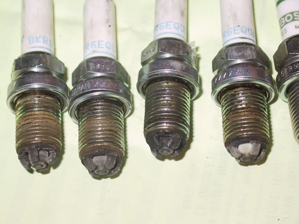 Name:  IMG_9246-1.jpg
Views: 295
Size:  136.4 KB