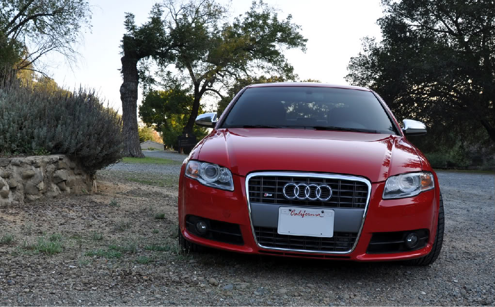 Name:  _DSC_0028.jpg
Views: 25
Size:  217.9 KB