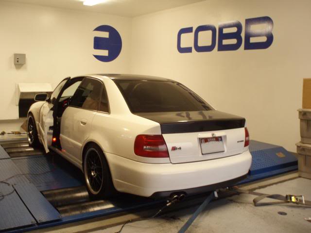 Name:  cobbdyno.jpg
Views: 35
Size:  37.7 KB