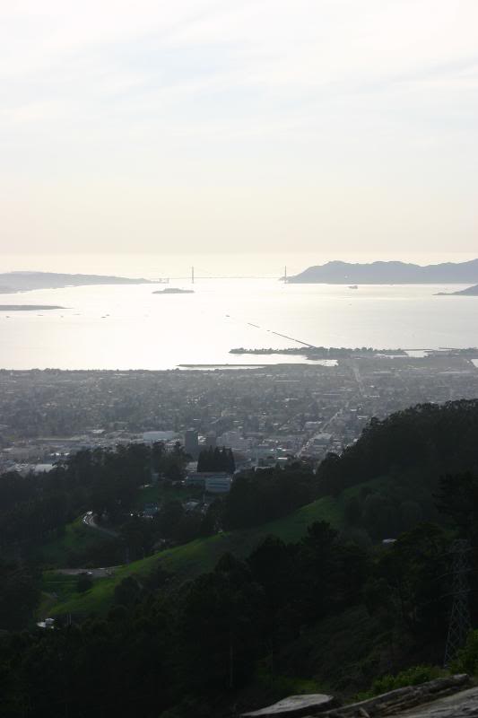 Name:  IMG_0408.jpg
Views: 42
Size:  28.4 KB