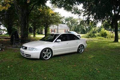 New tints and tails-side-tints.jpg