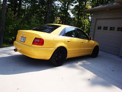New tints and tails-dsc00895.jpg