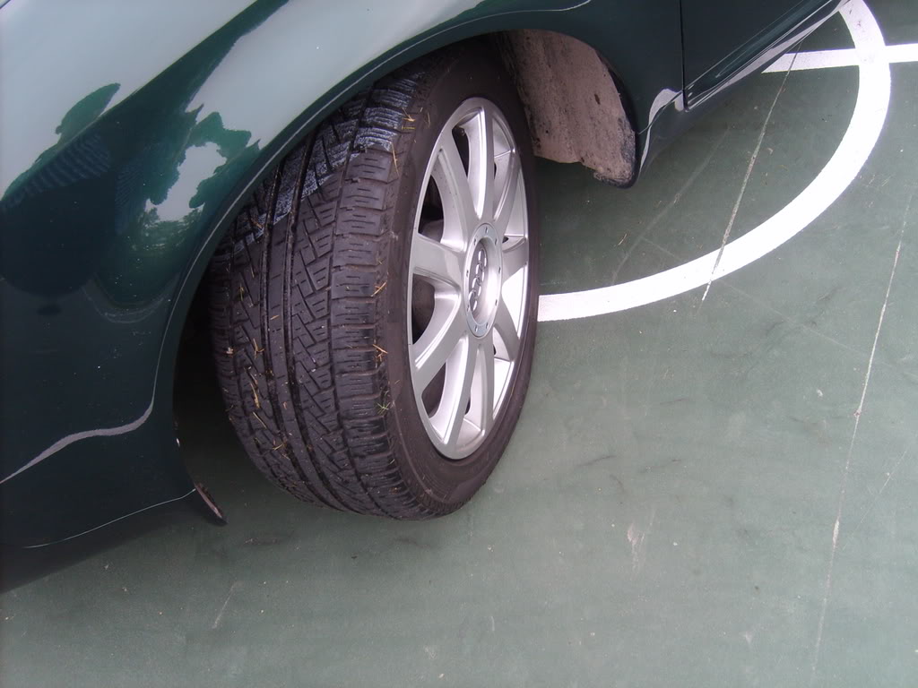 Name:  S5001936.jpg
Views: 32
Size:  90.2 KB