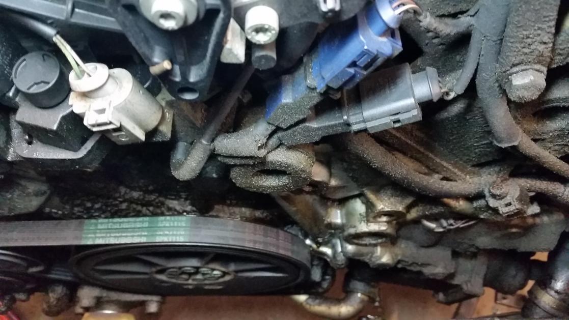Oil and coolant leak - AudiForums.com