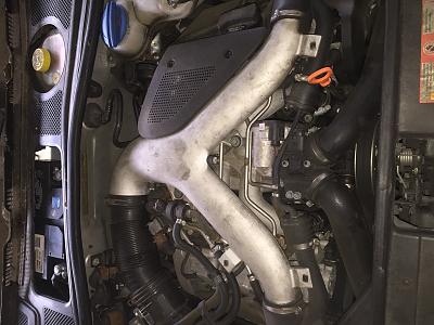 Abandoned Audi B5 S4 Purchased-img_3439.jpg