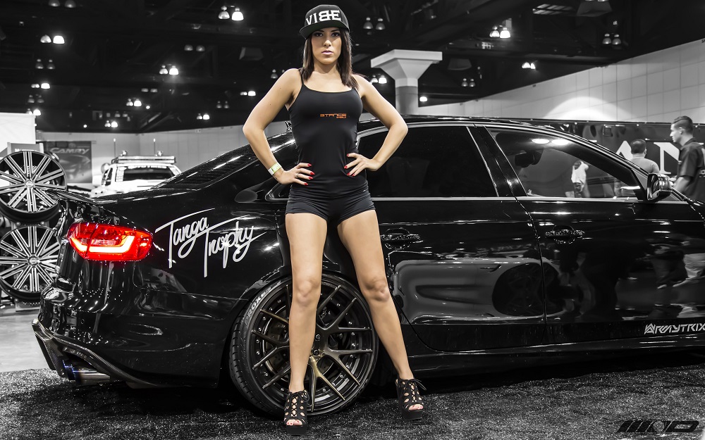 Name:  ilZb7pu.jpg
Views: 49
Size:  228.6 KB