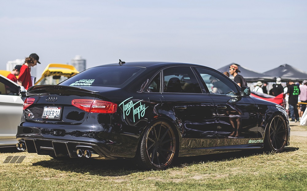 Name:  Pzj6wqs.jpg
Views: 43
Size:  233.4 KB