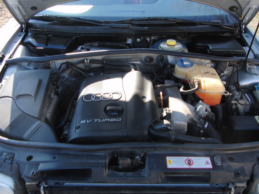 Name:  CIMG6047.jpg
Views: 22
Size:  111.9 KB