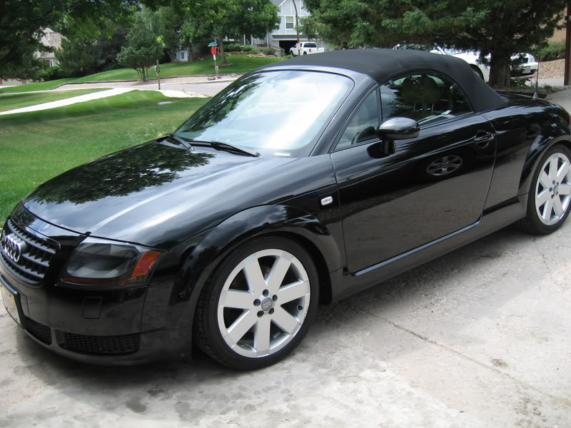 Name:  GinasTT009.jpg
Views: 35
Size:  102.0 KB