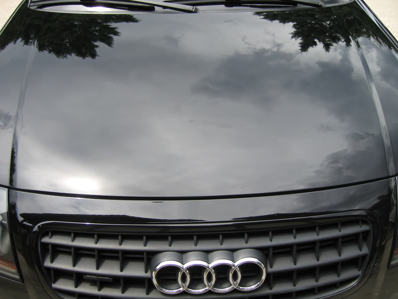 Name:  GinasTT010.jpg
Views: 86
Size:  56.3 KB