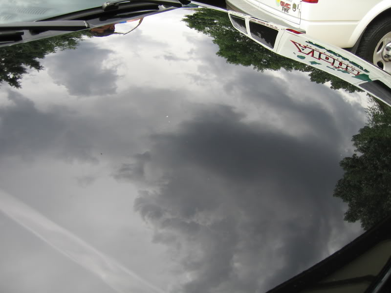 Name:  GinasTT011.jpg
Views: 40
Size:  51.9 KB