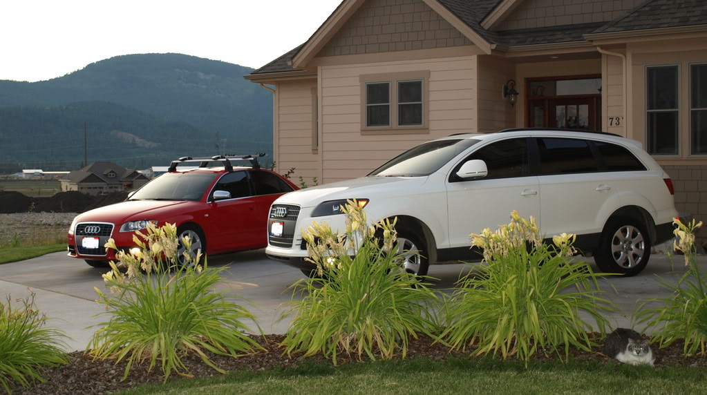Name:  audifamily.jpg
Views: 21
Size:  123.5 KB