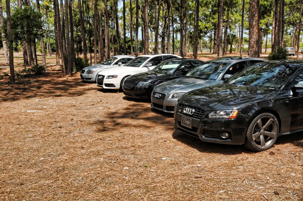 Name:  Meet_013.jpg
Views: 184
Size:  307.2 KB