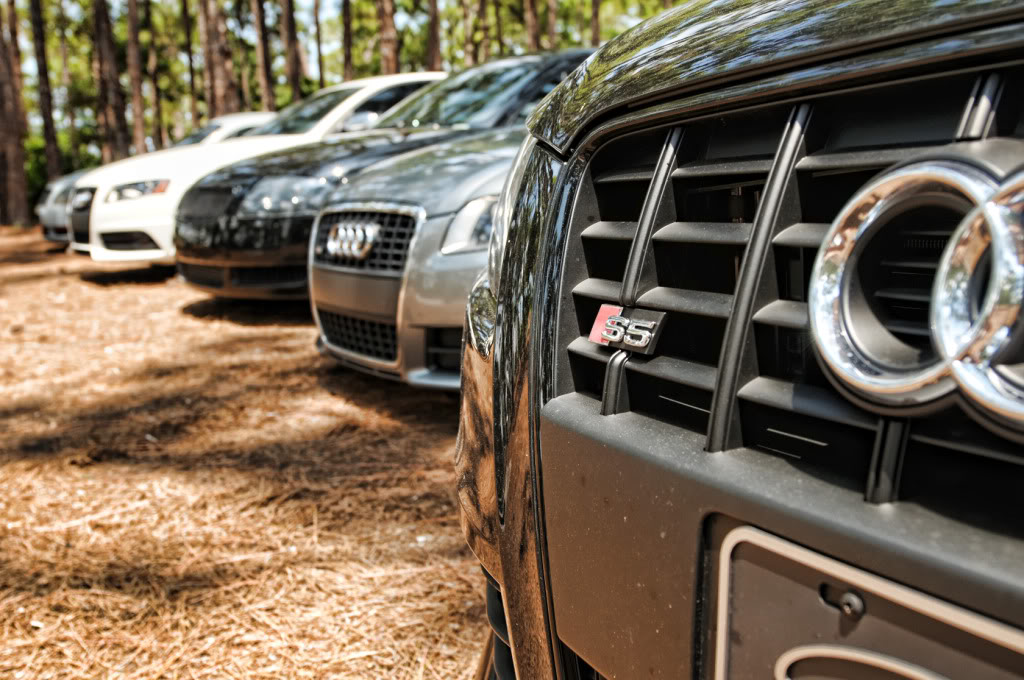 Name:  Meet_014.jpg
Views: 175
Size:  148.8 KB