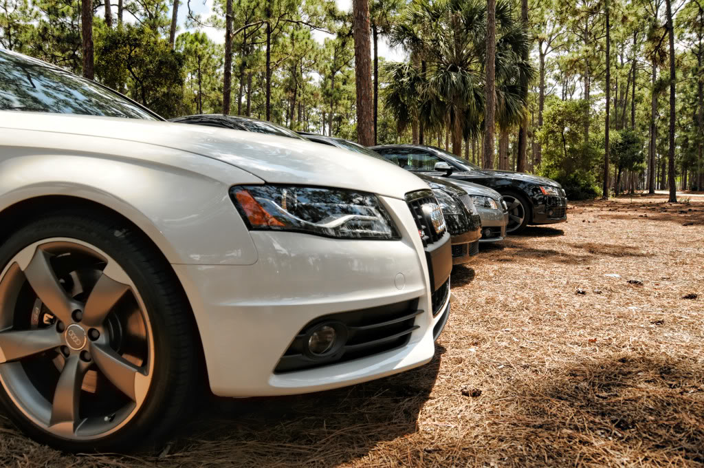 Name:  Meet_023.jpg
Views: 211
Size:  238.2 KB