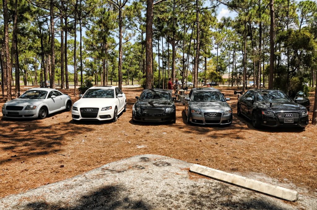 Name:  Meet_021.jpg
Views: 184
Size:  315.5 KB