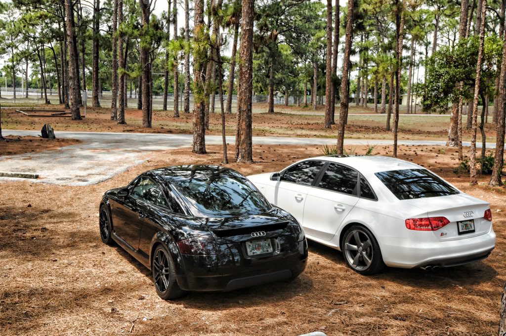 Name:  Meet_006.jpg
Views: 175
Size:  284.8 KB