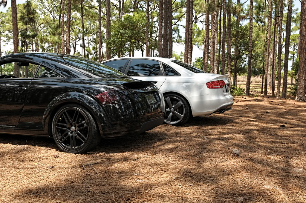 Name:  Meet_003.jpg
Views: 124
Size:  303.4 KB