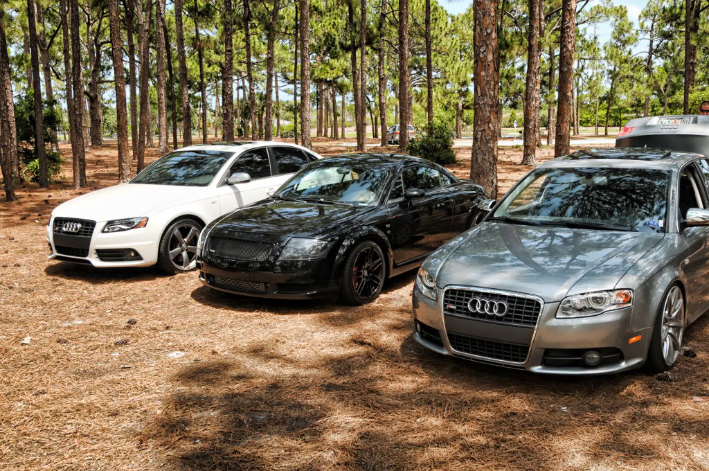 Name:  Meet_008.jpg
Views: 157
Size:  299.6 KB