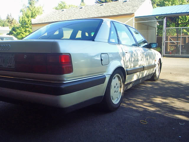 Name:  S3011552.jpg
Views: 25
Size:  78.2 KB