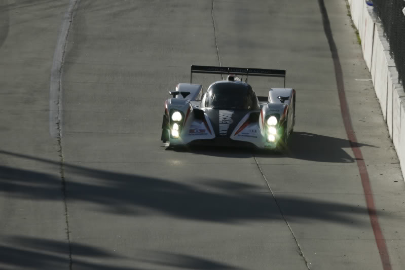 Name:  _MG_1246.jpg
Views: 29
Size:  39.1 KB