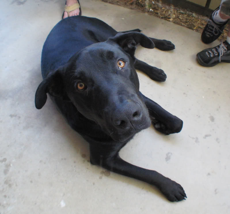 Name:  IMG_1810-2.jpg
Views: 22
Size:  61.1 KB