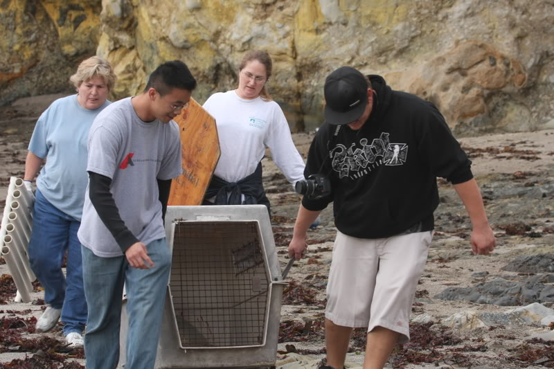 Name:  IMG_9754.jpg
Views: 57
Size:  96.4 KB