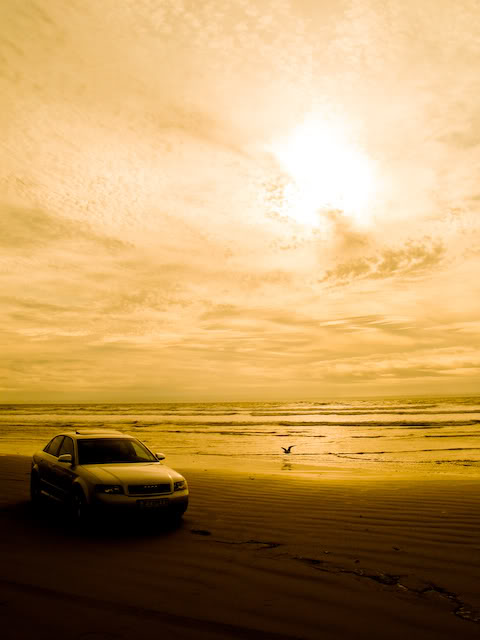 Name:  IMG_1188.jpg
Views: 48
Size:  37.9 KB