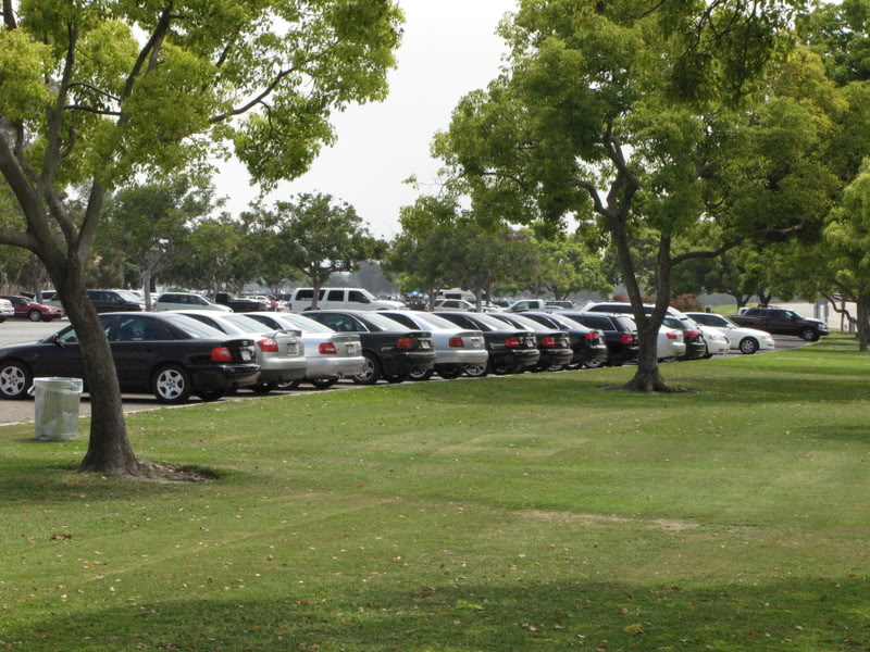 Name:  IMG_0471.jpg
Views: 26
Size:  141.5 KB