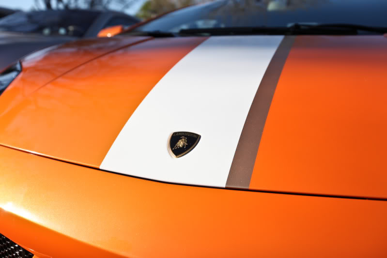 Name:  _-21-1.jpg
Views: 17
Size:  38.0 KB