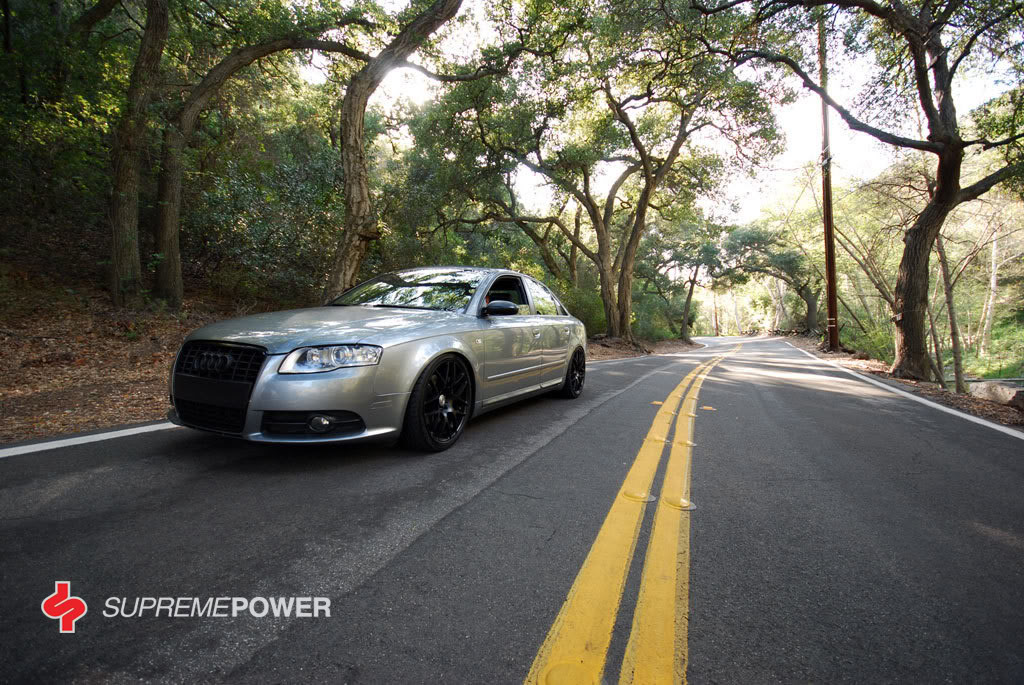 Name:  DSC_0718_anthonycopy.jpg
Views: 29
Size:  216.3 KB