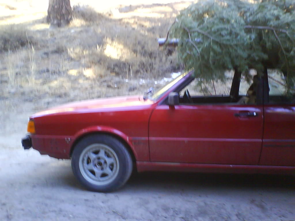 Name: DSC01016.jpg
Views: 144
Size: 81.9 KB