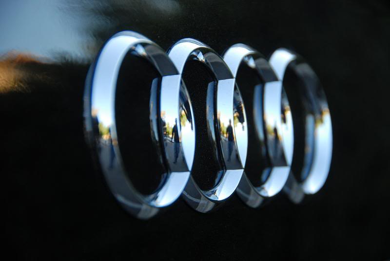 Name:  louie060.jpg
Views: 52
Size:  29.0 KB