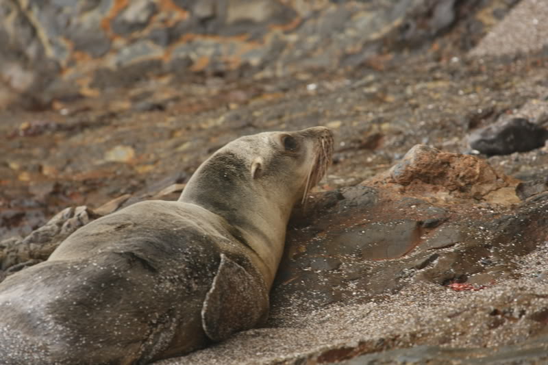 Name:  IMG_9678.jpg
Views: 75
Size:  80.6 KB