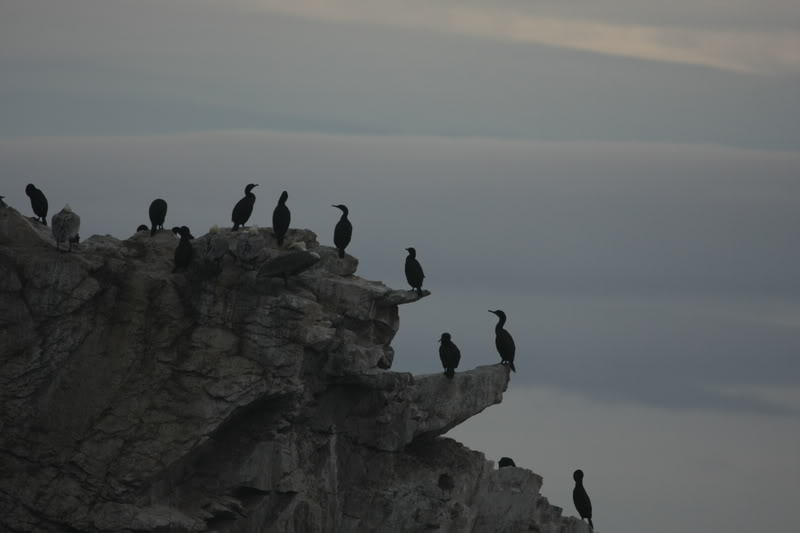 Name:  IMG_9684.jpg
Views: 42
Size:  35.5 KB