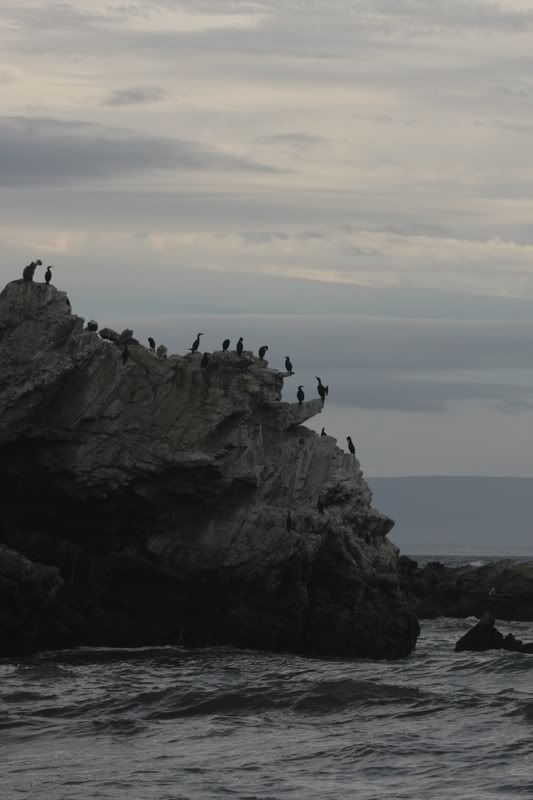 Name:  IMG_9686.jpg
Views: 49
Size:  50.3 KB