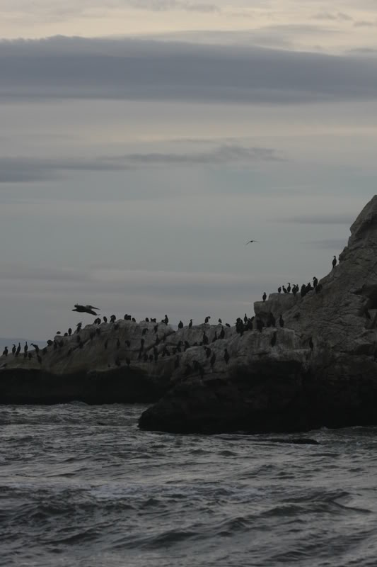 Name:  IMG_9688.jpg
Views: 44
Size:  49.1 KB