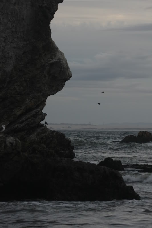 Name:  IMG_9689.jpg
Views: 44
Size:  42.6 KB