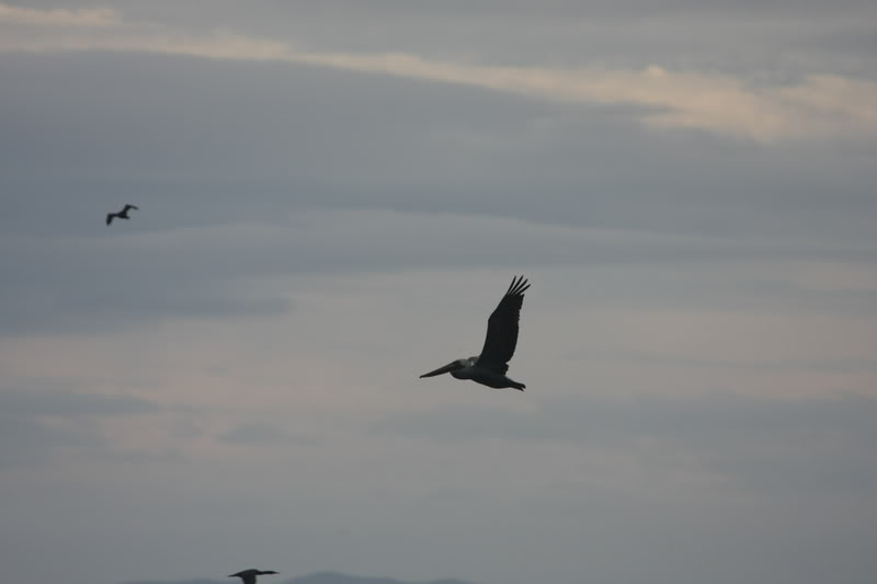 Name:  IMG_9690.jpg
Views: 43
Size:  21.2 KB