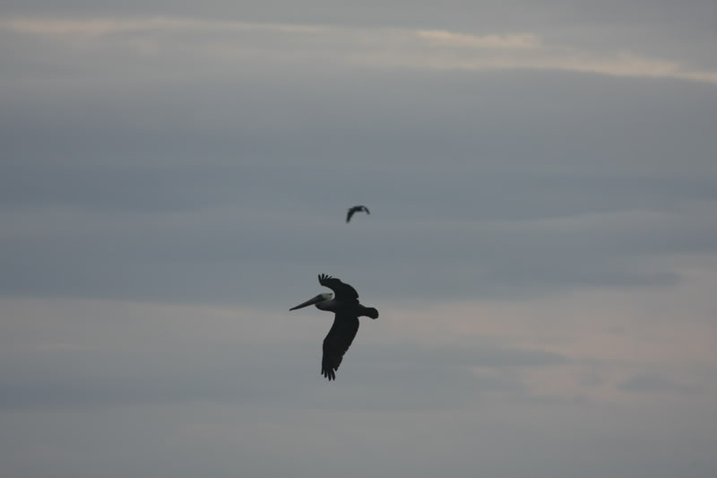 Name:  IMG_9693.jpg
Views: 52
Size:  20.0 KB